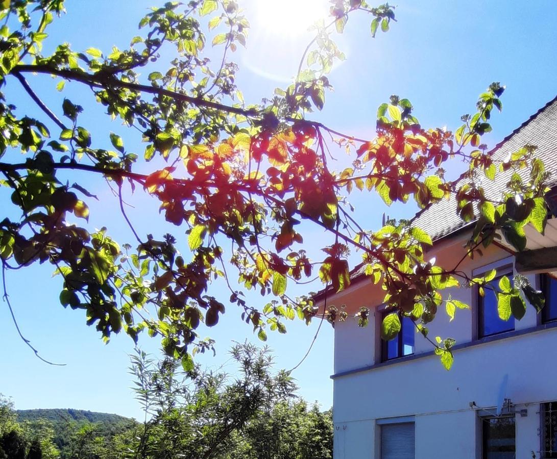 Ferienwohnung Albstadt Panorama Esterno foto